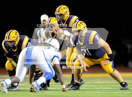 Thumbnail 3 in Bourgeois @ Thibodaux photogallery.