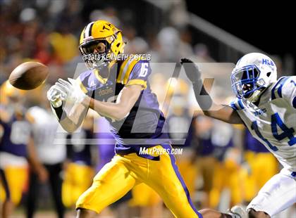 Thumbnail 3 in Bourgeois @ Thibodaux photogallery.