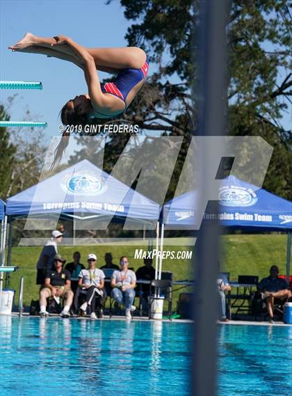 Thumbnail 2 in Diving CIF NCS Final (Campolindo) photogallery.