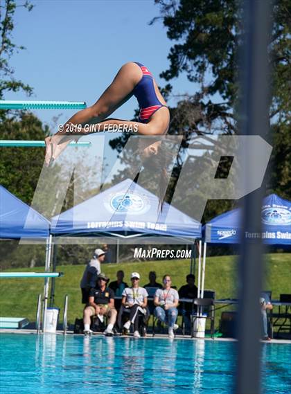 Thumbnail 3 in Diving CIF NCS Final (Campolindo) photogallery.