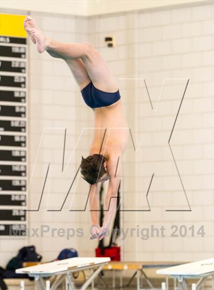 Thumbnail 2 in NEPSAC D2 Diving Championships photogallery.