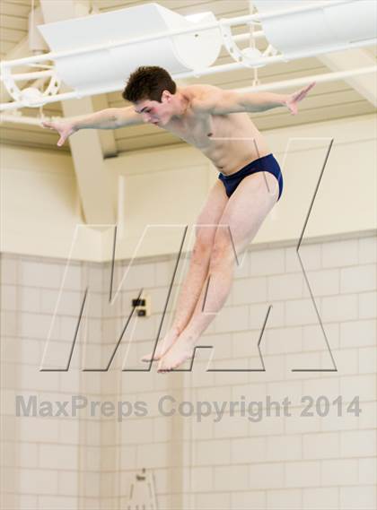 Thumbnail 1 in NEPSAC D2 Diving Championships photogallery.