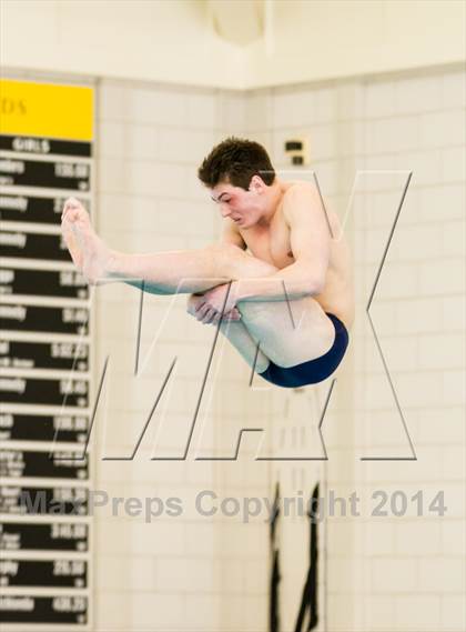 Thumbnail 1 in NEPSAC D2 Diving Championships photogallery.