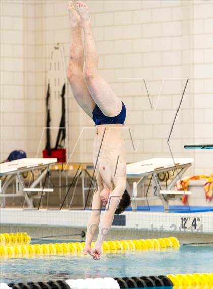 Thumbnail 1 in NEPSAC D2 Diving Championships photogallery.