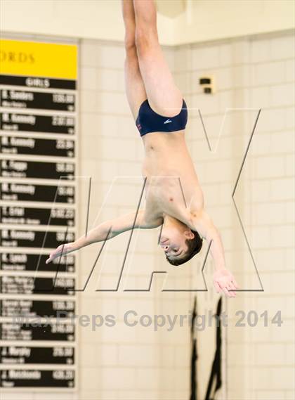 Thumbnail 2 in NEPSAC D2 Diving Championships photogallery.