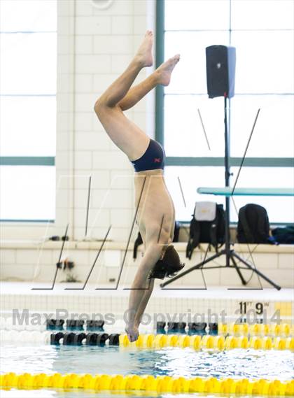 Thumbnail 2 in NEPSAC D2 Diving Championships photogallery.