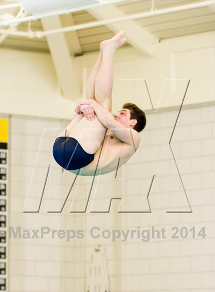 Thumbnail 3 in NEPSAC D2 Diving Championships photogallery.