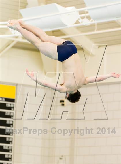 Thumbnail 2 in NEPSAC D2 Diving Championships photogallery.