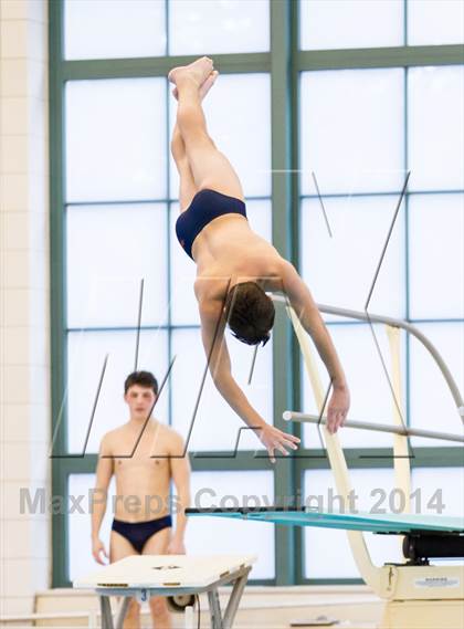 Thumbnail 3 in NEPSAC D2 Diving Championships photogallery.