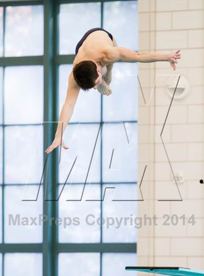 Thumbnail 3 in NEPSAC D2 Diving Championships photogallery.