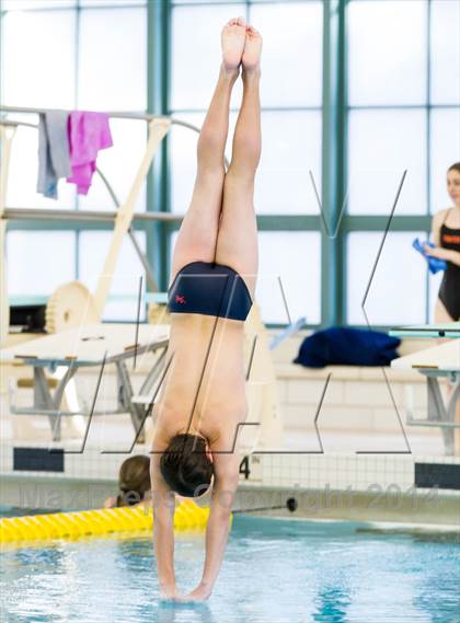 Thumbnail 3 in NEPSAC D2 Diving Championships photogallery.