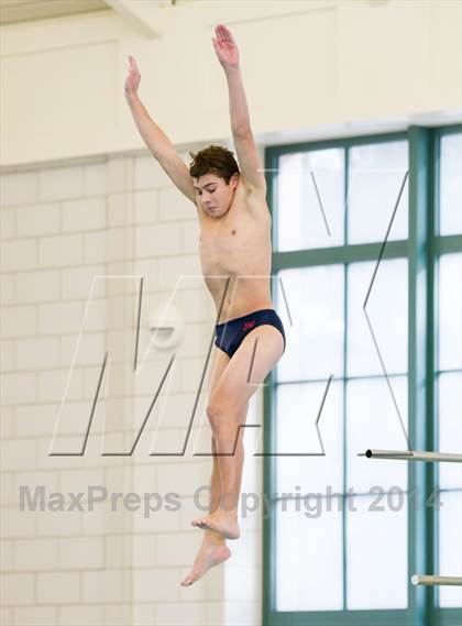 Thumbnail 3 in NEPSAC D2 Diving Championships photogallery.