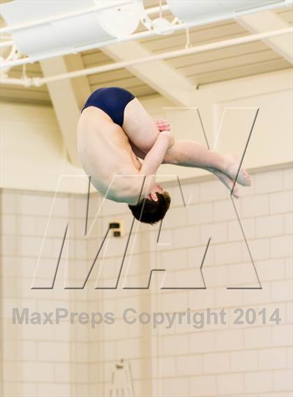 Thumbnail 2 in NEPSAC D2 Diving Championships photogallery.