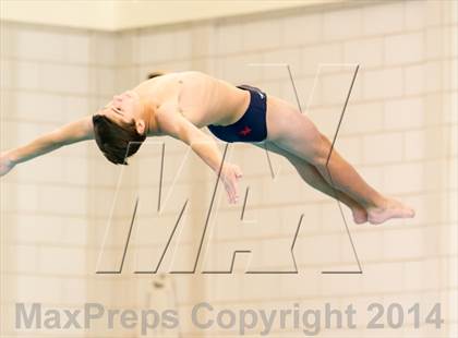 Thumbnail 3 in NEPSAC D2 Diving Championships photogallery.