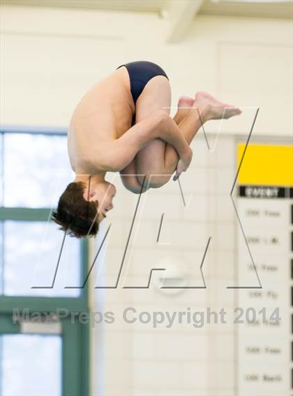 Thumbnail 1 in NEPSAC D2 Diving Championships photogallery.