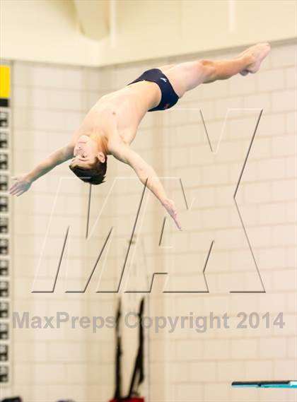 Thumbnail 1 in NEPSAC D2 Diving Championships photogallery.