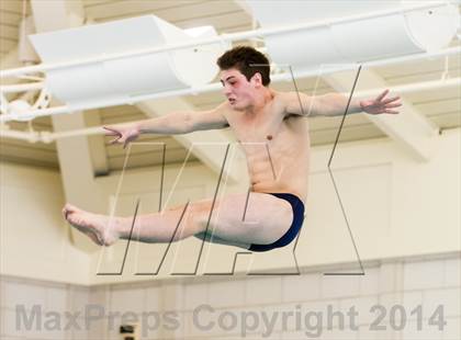 Thumbnail 3 in NEPSAC D2 Diving Championships photogallery.