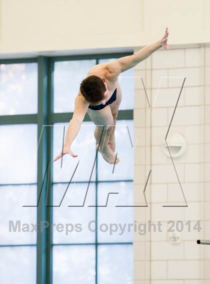 Thumbnail 2 in NEPSAC D2 Diving Championships photogallery.