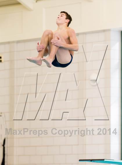 Thumbnail 1 in NEPSAC D2 Diving Championships photogallery.