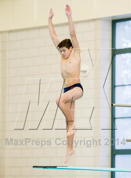 Thumbnail 3 in NEPSAC D2 Diving Championships photogallery.