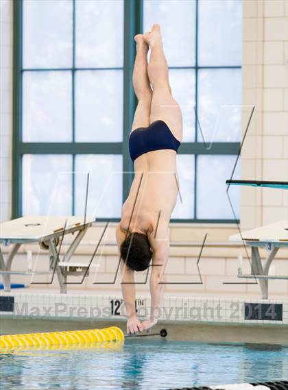 Thumbnail 1 in NEPSAC D2 Diving Championships photogallery.