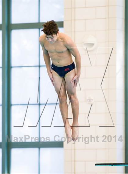 Thumbnail 2 in NEPSAC D2 Diving Championships photogallery.