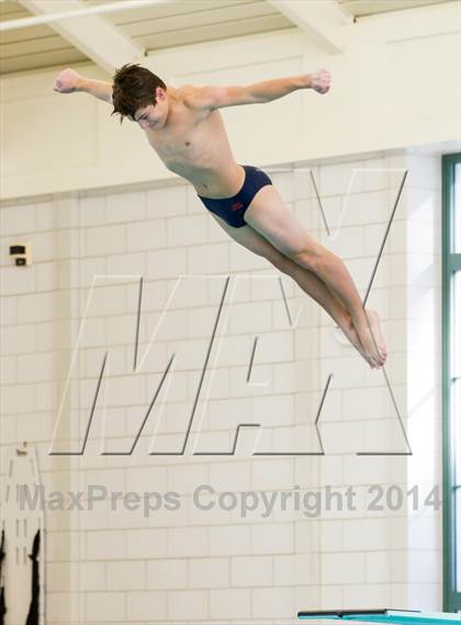 Thumbnail 3 in NEPSAC D2 Diving Championships photogallery.