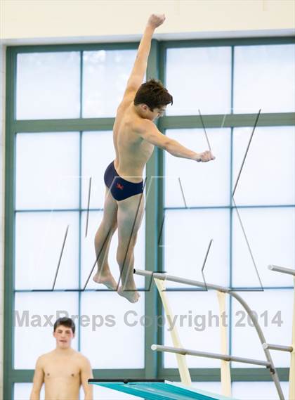 Thumbnail 2 in NEPSAC D2 Diving Championships photogallery.