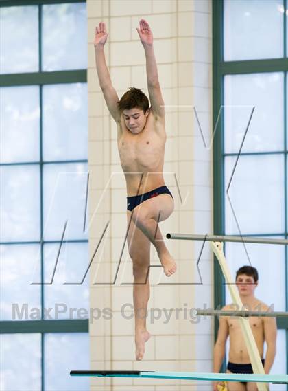 Thumbnail 1 in NEPSAC D2 Diving Championships photogallery.