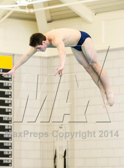 Thumbnail 2 in NEPSAC D2 Diving Championships photogallery.