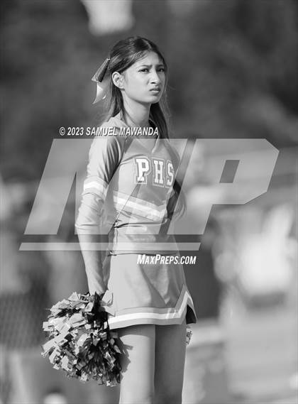 Thumbnail 2 in Poly @ Arleta photogallery.