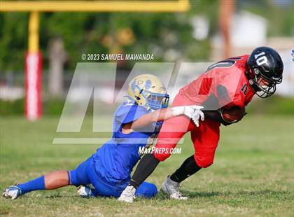 Thumbnail 2 in Poly @ Arleta photogallery.