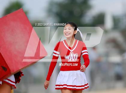 Thumbnail 1 in Poly @ Arleta photogallery.