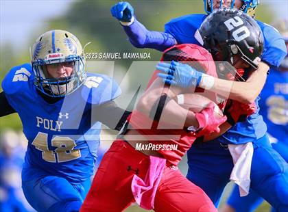Thumbnail 2 in Poly @ Arleta photogallery.