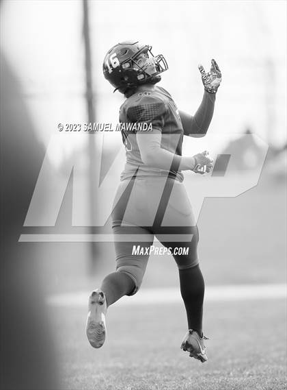 Thumbnail 3 in Poly @ Arleta photogallery.