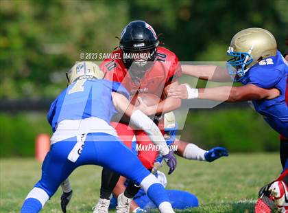 Thumbnail 3 in Poly @ Arleta photogallery.
