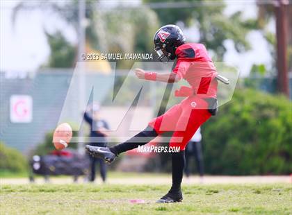 Thumbnail 2 in Poly @ Arleta photogallery.