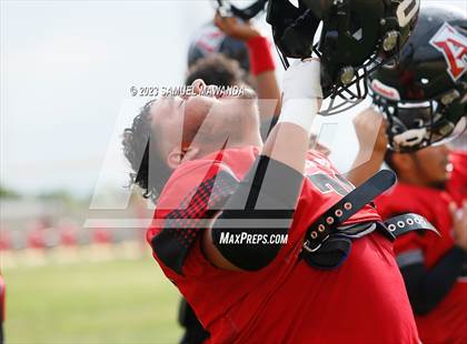 Thumbnail 3 in Poly @ Arleta photogallery.