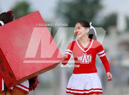 Thumbnail 3 in Poly @ Arleta photogallery.