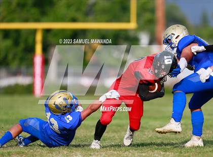 Thumbnail 3 in Poly @ Arleta photogallery.