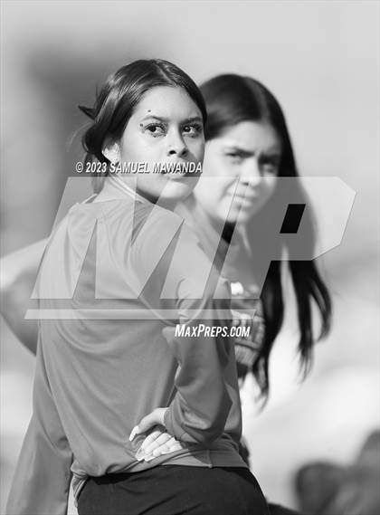 Thumbnail 2 in Poly @ Arleta photogallery.
