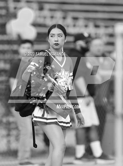 Thumbnail 2 in Poly @ Arleta photogallery.