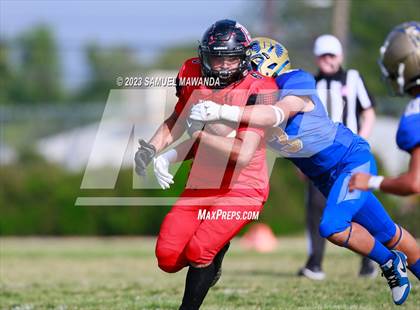 Thumbnail 3 in Poly @ Arleta photogallery.
