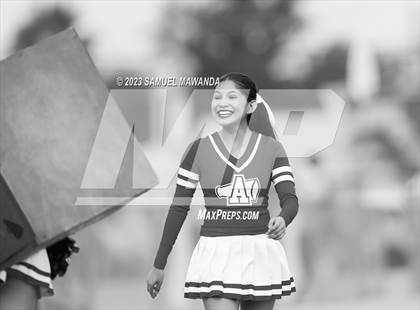Thumbnail 2 in Poly @ Arleta photogallery.