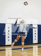 Photo from the gallery "Desert Vista @ Perry"