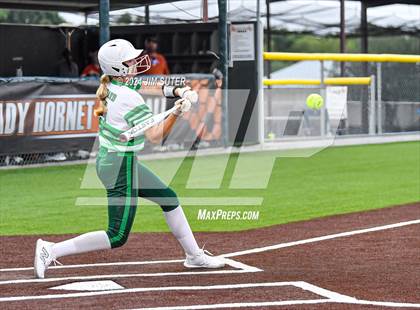 Thumbnail 2 in Caldwell vs Latexo photogallery.