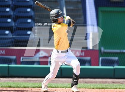 Thumbnail 2 in Deerfield @ Westminster (Dunkin' Park Series) photogallery.