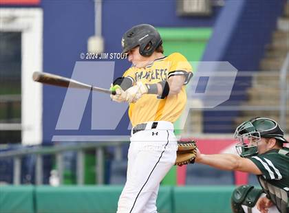 Thumbnail 1 in Deerfield @ Westminster (Dunkin' Park Series) photogallery.