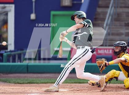 Thumbnail 2 in Deerfield @ Westminster (Dunkin' Park Series) photogallery.