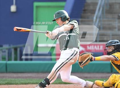 Thumbnail 1 in Deerfield @ Westminster (Dunkin' Park Series) photogallery.